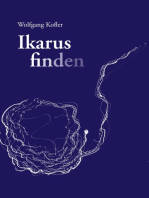 Ikarus finden