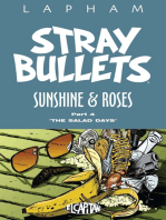 Stray Bullets