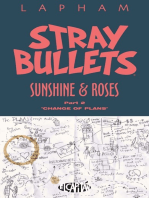 Stray Bullets