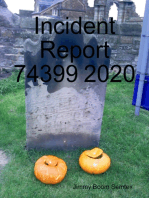 Incident Report 74399 2020