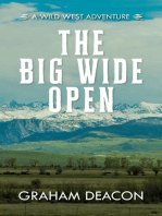 The Big Wide Open