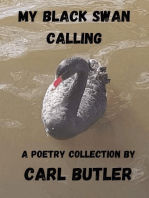 My Black Swan Calling