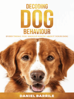 Decoding Dog Behaviour: Everything You Should Know About Your Dog