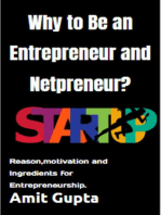 Why to Be an Entrepreneur and Netpreneur?