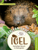 Erlebnisbuch Igel: Stacheliger Besuch im Naturgarten