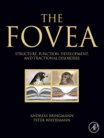 The Fovea: Structure, Function, Development, and Tractional Disorders