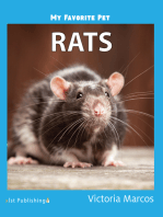 My Favorite Pet: Rats