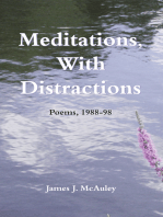 Meditations, With Distractions: Poems, 1988-1998