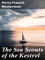 The Sea Scouts of the Kestrel