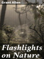 Flashlights on Nature