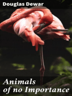 Animals of no Importance