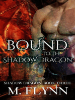 Bound to the Shadow Dragon: Shadow Dragon Book 3 (Dragon Shifter Romance): Shadow Dragon, #3