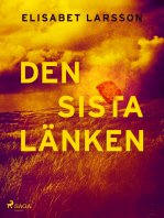 Den sista länken