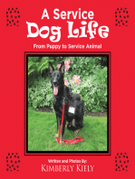 A Service Dog Life: From Puppy to Service Animal