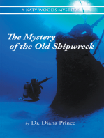 The Mystery of the Old Shipwreck