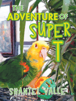 The Adventure of Super T