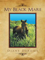 My Black Mare