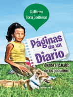 Páginas De Un Diario