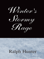 Winter's Stormy Rage