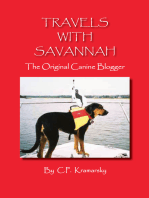 Travels with Savannah: The Original Canine Blogger