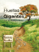 Huellas De Gigantes