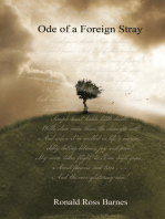 Ode of a Foreign Stray