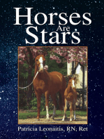 Horses Are Stars
