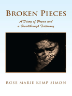 Broken Pieces: A Diary of Poems and a Breakthrough Testimony