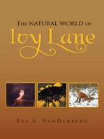 The Natural World of Ivy Lane