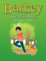 Barkey: The Lost Dog