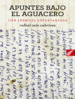 Apuntes bajo el aguacero: Cien Crónicas empantanadas