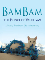 Bambam, the Prince of Valprivas!
