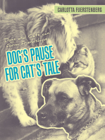 Dog’S Pause for Cat’S Tale