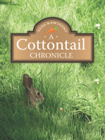 A Cottontail Chronicle