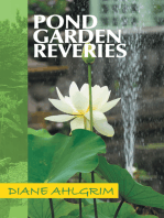 Pond Garden Reveries