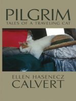 Pilgrim: Tales of a Traveling Cat