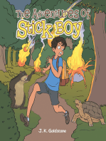 The Adventures of Stick Boy