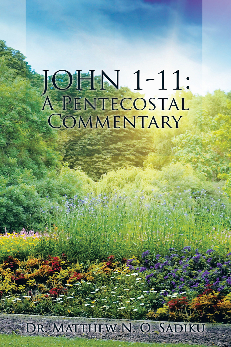 John 1-11: a Pentecostal Commentary by Dr. Matthew N. O. Sadiku (Ebook ...