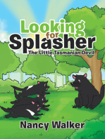 Looking for Splasher