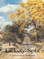 Lickety-Split: A Novel from Nebraska