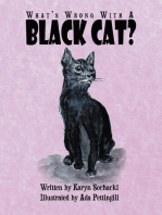 What's Wrong with a Black Cat?