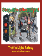 Stop, It's a Red Light!: Traffic Light Safety