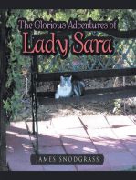 The Glorious Adventures of Lady Sara