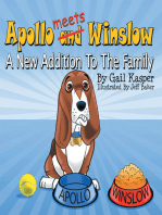 Apollo and Winslow: A New Addition to the Family