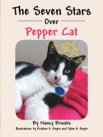 The Seven Stars over Pepper Cat