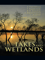 Lakes and Wetlands