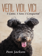 Veni, Vidi, Vici: I Came, I Saw, I Conquered