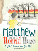 Matthew and the Horrid Haze