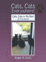 Cats, Cats Everywhere!: Cats, Cats in My Hair!