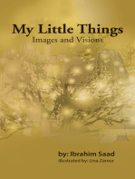 My Little Things: Images and Visions